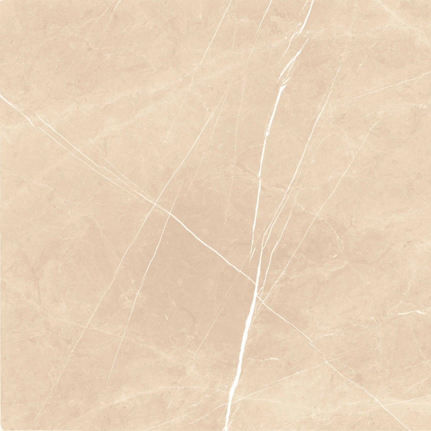 Bodenfliese Feinsteinzeug Ciana beige Beige Glasiert Poliert 60 cm x 60 cm