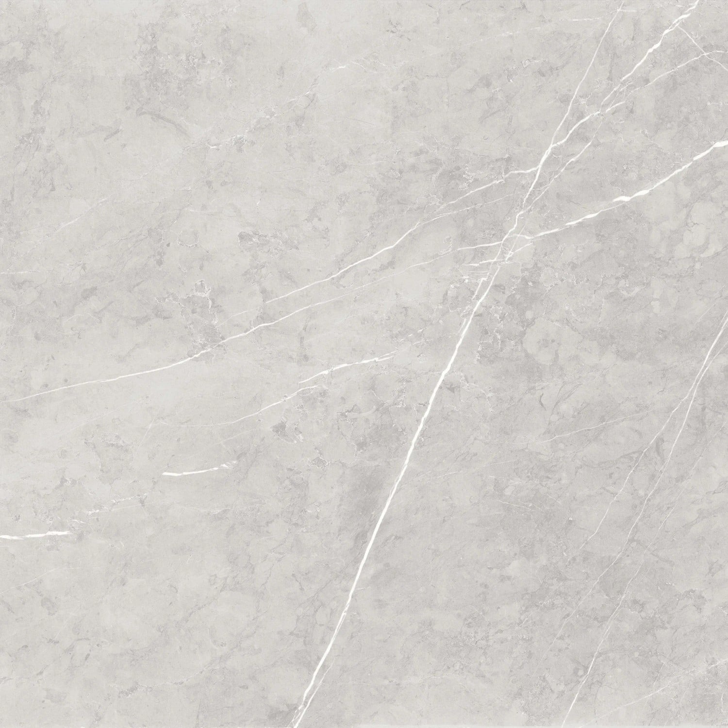 Bodenfliese Feinsteinzeug Ciana gey Grau Glasiert Poliert 60 cm x 60 cm