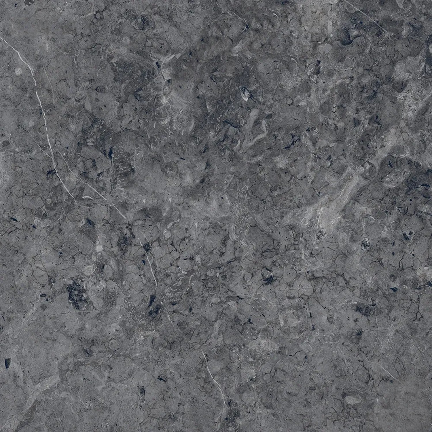 Bodenfliese Feinsteinzeug Dione anthrazit Anthrazit 60 cm x 60 cm