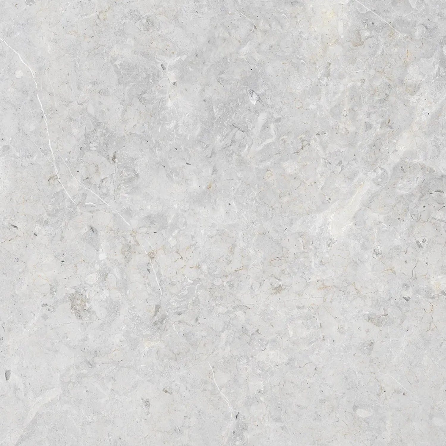 Bodenfliese Feinsteinzeug Dione bianco Glasiert Poliert 60 cm x 60 cm