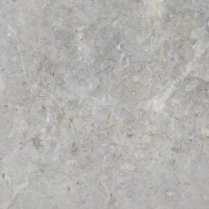 Bodenfliese Feinsteinzeug Dione grau Grau Glasiert Poliert 60 cm x 60 cm