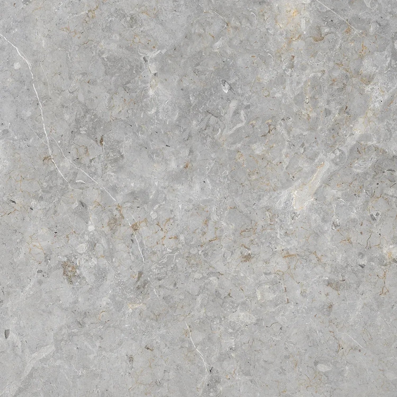 Bodenfliese Feinsteinzeug Dione grau Grau Glasiert Poliert 60 cm x 60 cm