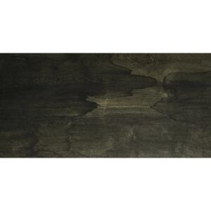 Bodenfliese Feinsteinzeug Edgewood anthtrazit Anthrazit 90 cm x 45 cm