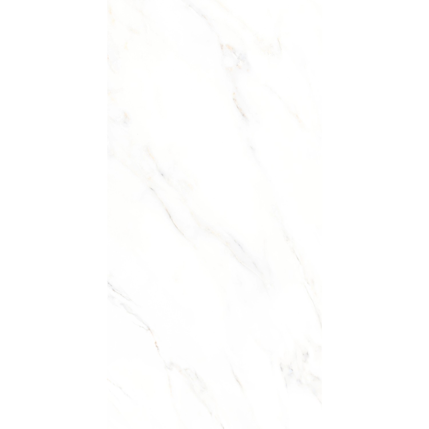 Bodenfliese Feinsteinzeug Marble calacatta Glasiert Poliert 60 cm x 30 cm