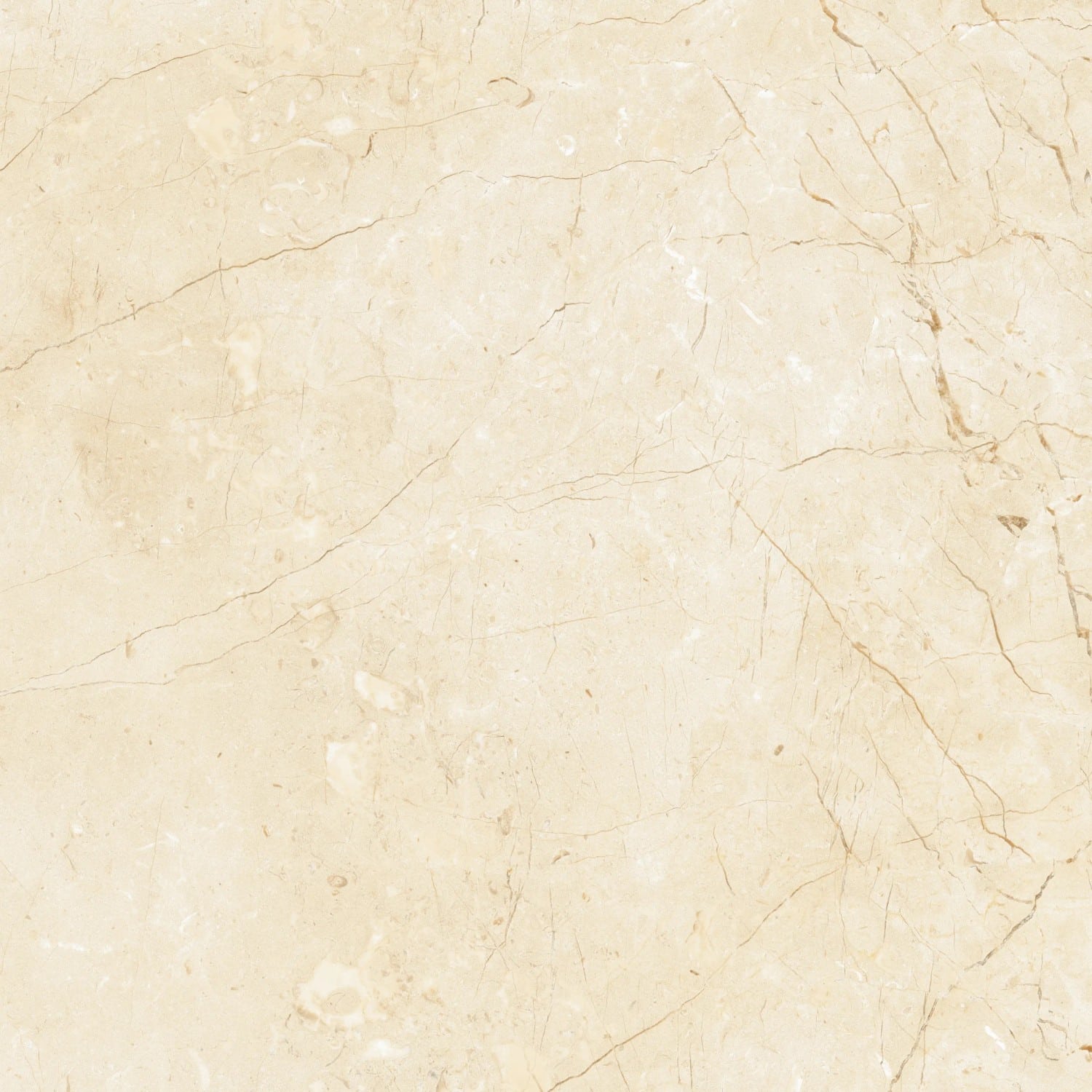 Bodenfliese Feinsteinzeug Mercury crema Creme Glasiert Poliert 60 cm x 60 cm