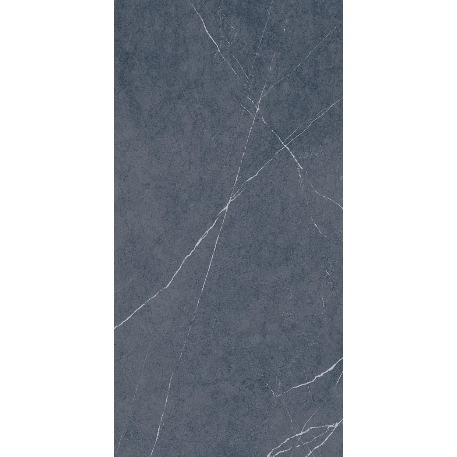 Bodenfliese Feinsteinzeug Navas antrazit Anthrazit Glasiert Matt 60 cm x 120 cm