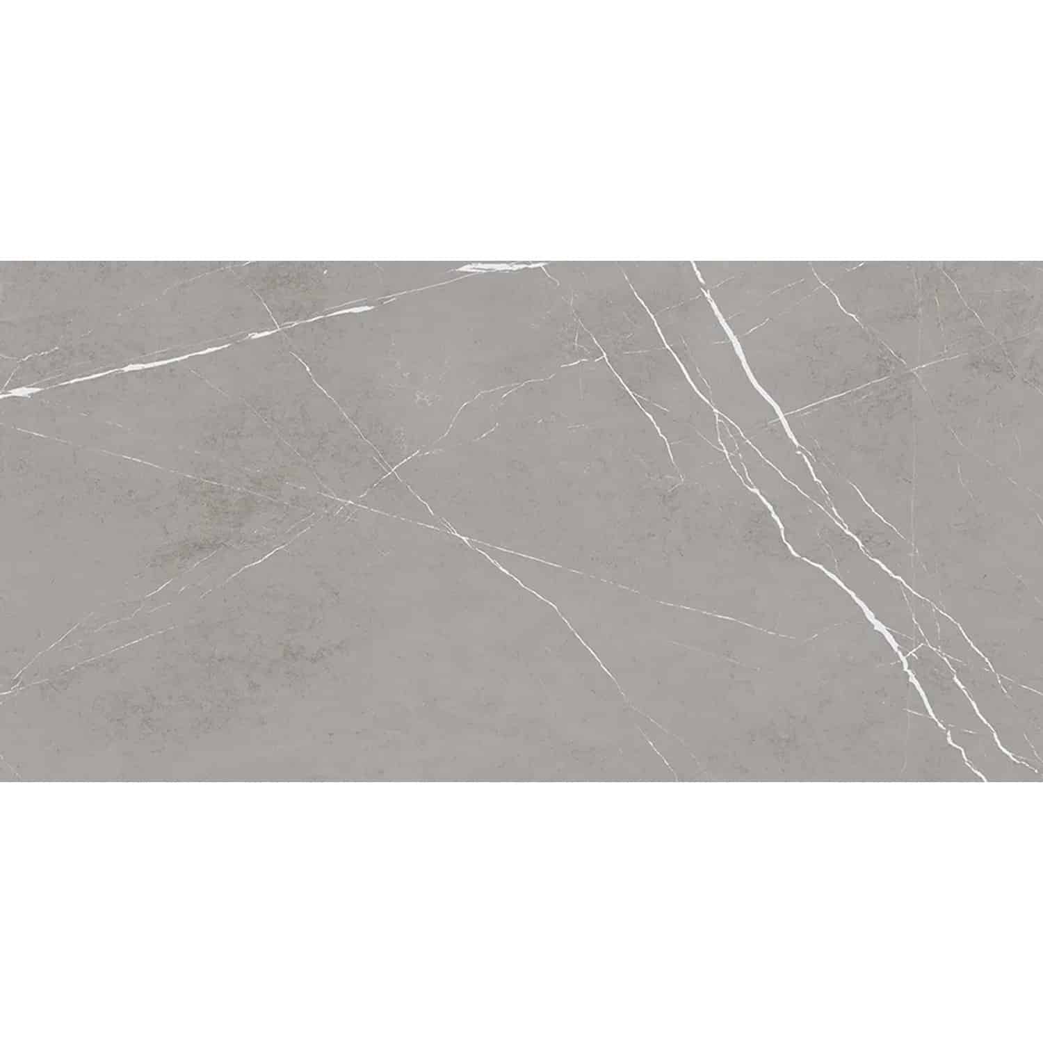 Bodenfliese Feinsteinzeug Prem. marble navas dunkelgrau Grau 60 cm x 120 cm