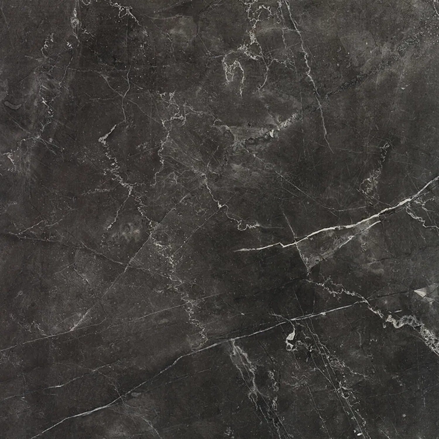 Bodenfliese Feinsteinzeug Premium marble anthrazit Anthrazit 60 cm x 60 cm