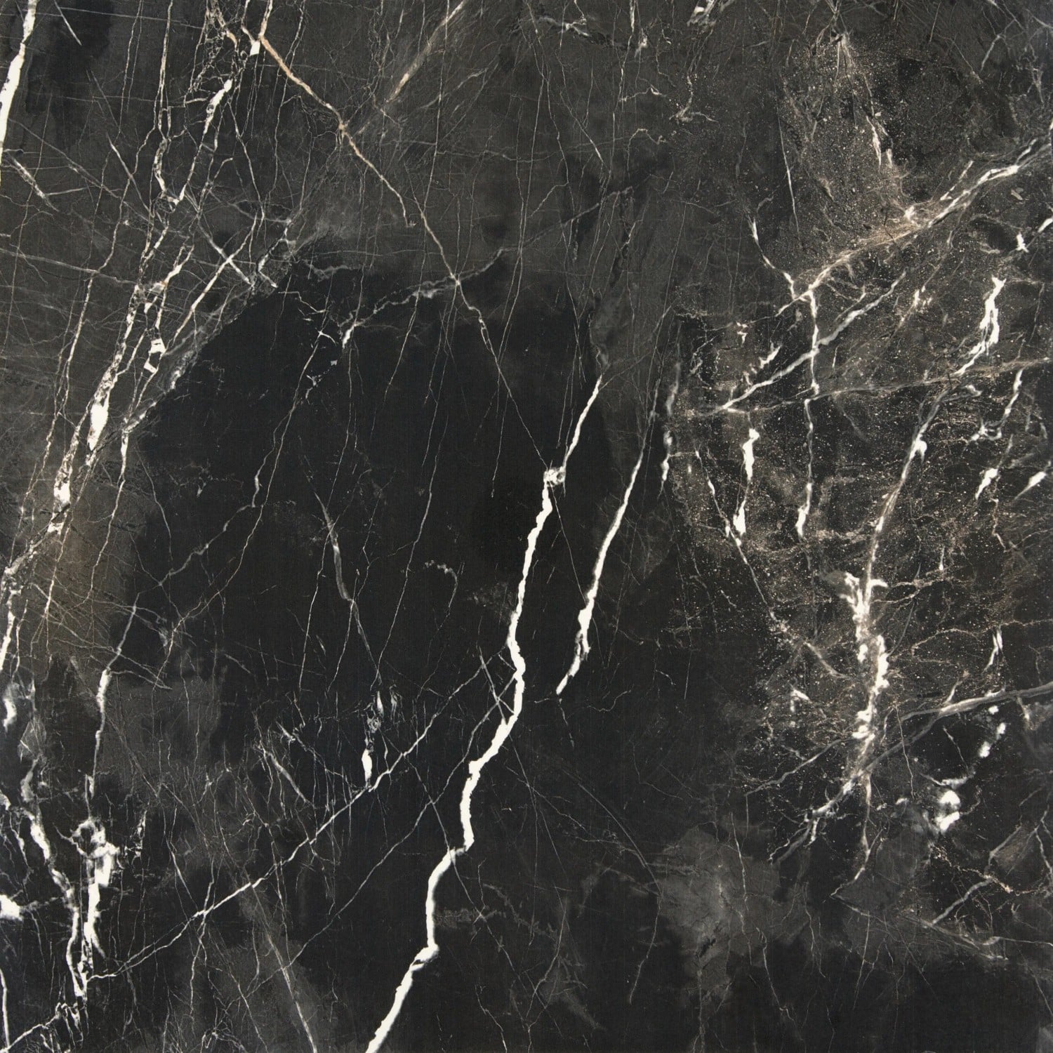 Bodenfliese Feinsteinzeug Premium marble carbon Glasiert Poliert 60 cm x 60 cm