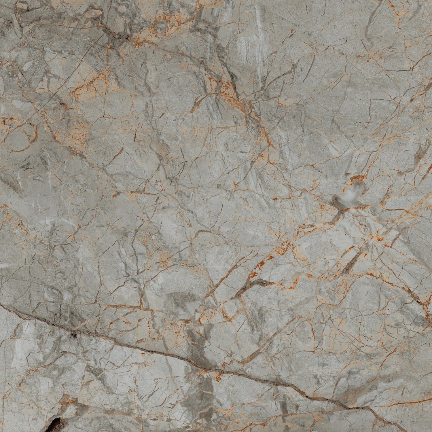 Bodenfliese Feinsteinzeug Saran collins Grau Glasiert Poliert 60 cm x 60 cm