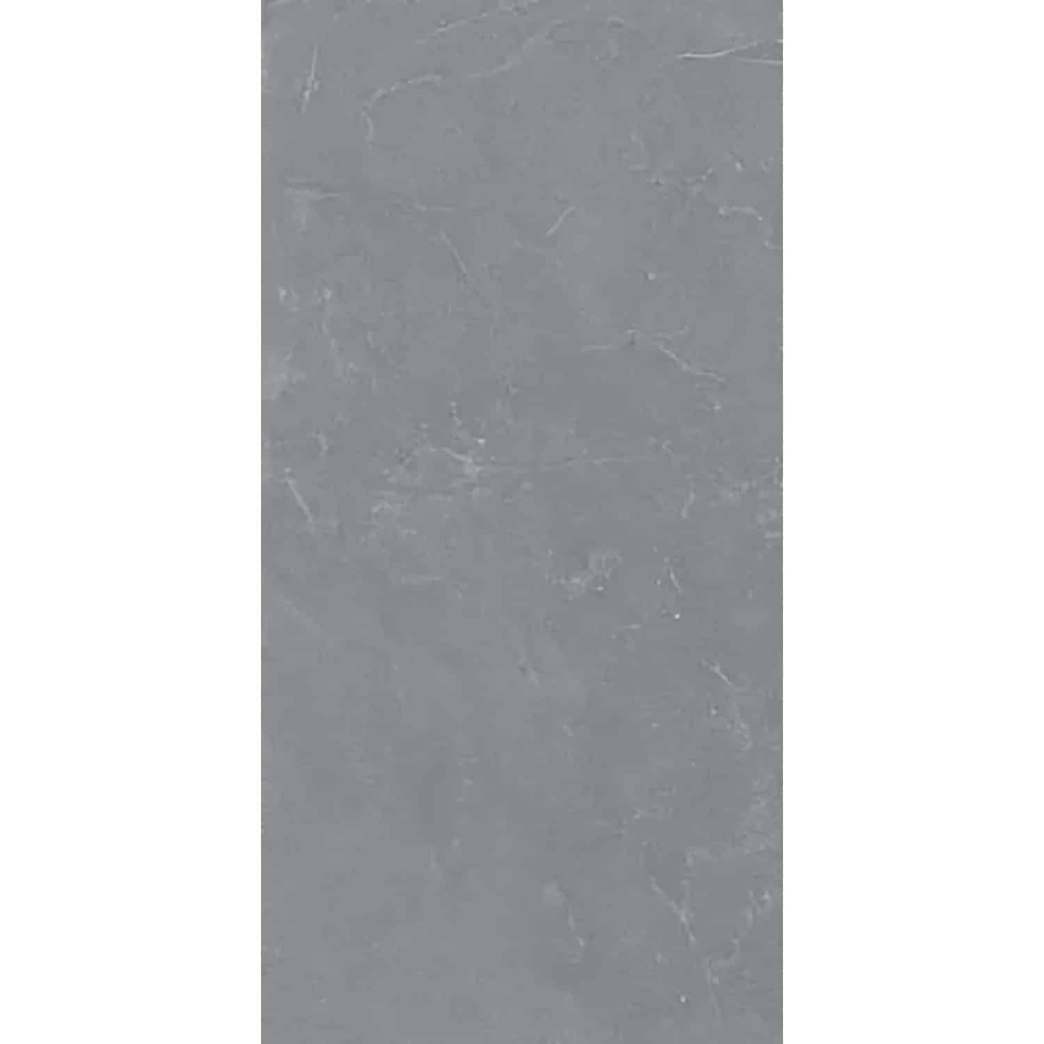 Bodenfliese Feinsteinzeug Stoneline anthrazit Anthrazit 60 cm x 120 cm