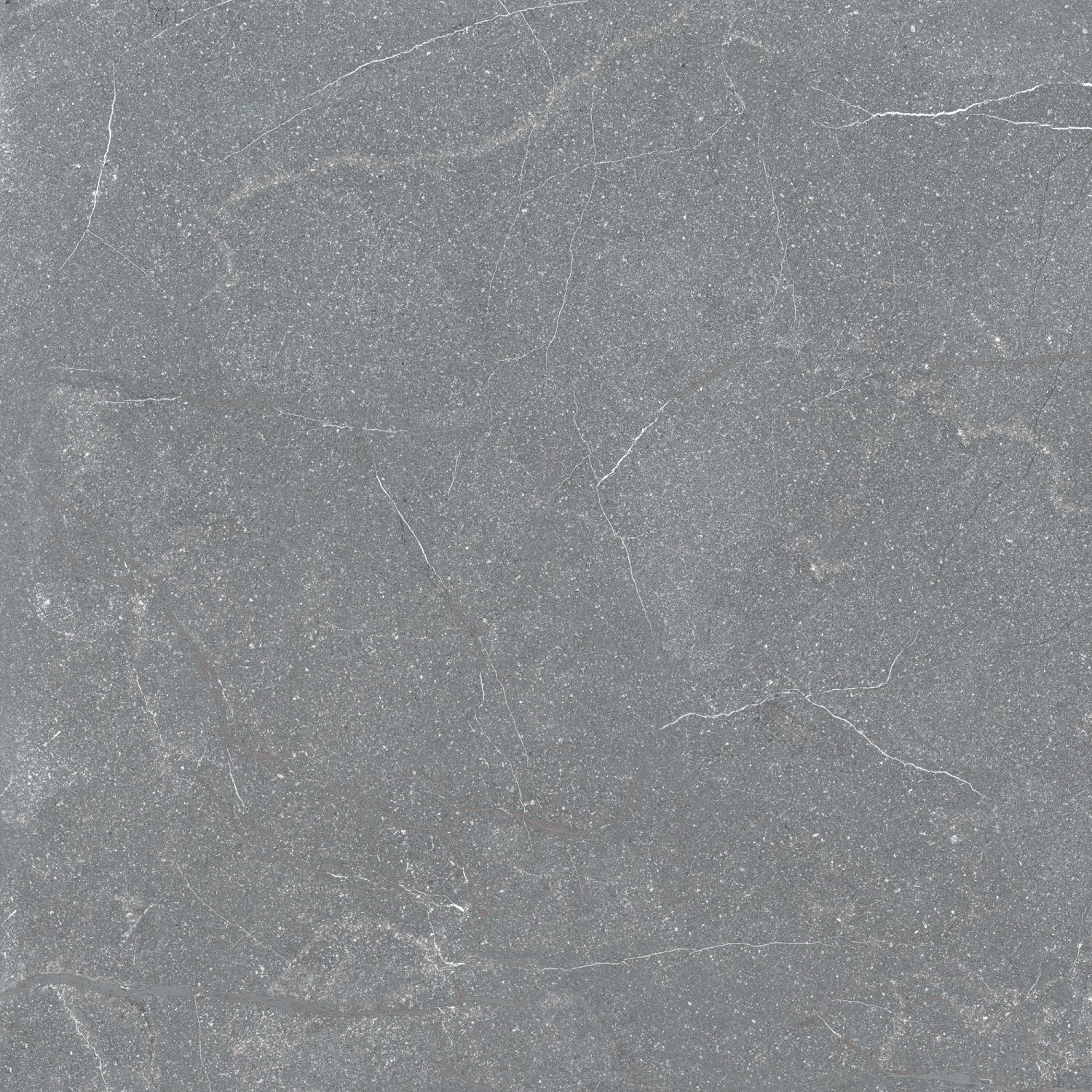 Bodenfliese Feinsteinzeug Stoneline anthrazit Anthrazit 60 cm x 60 cm
