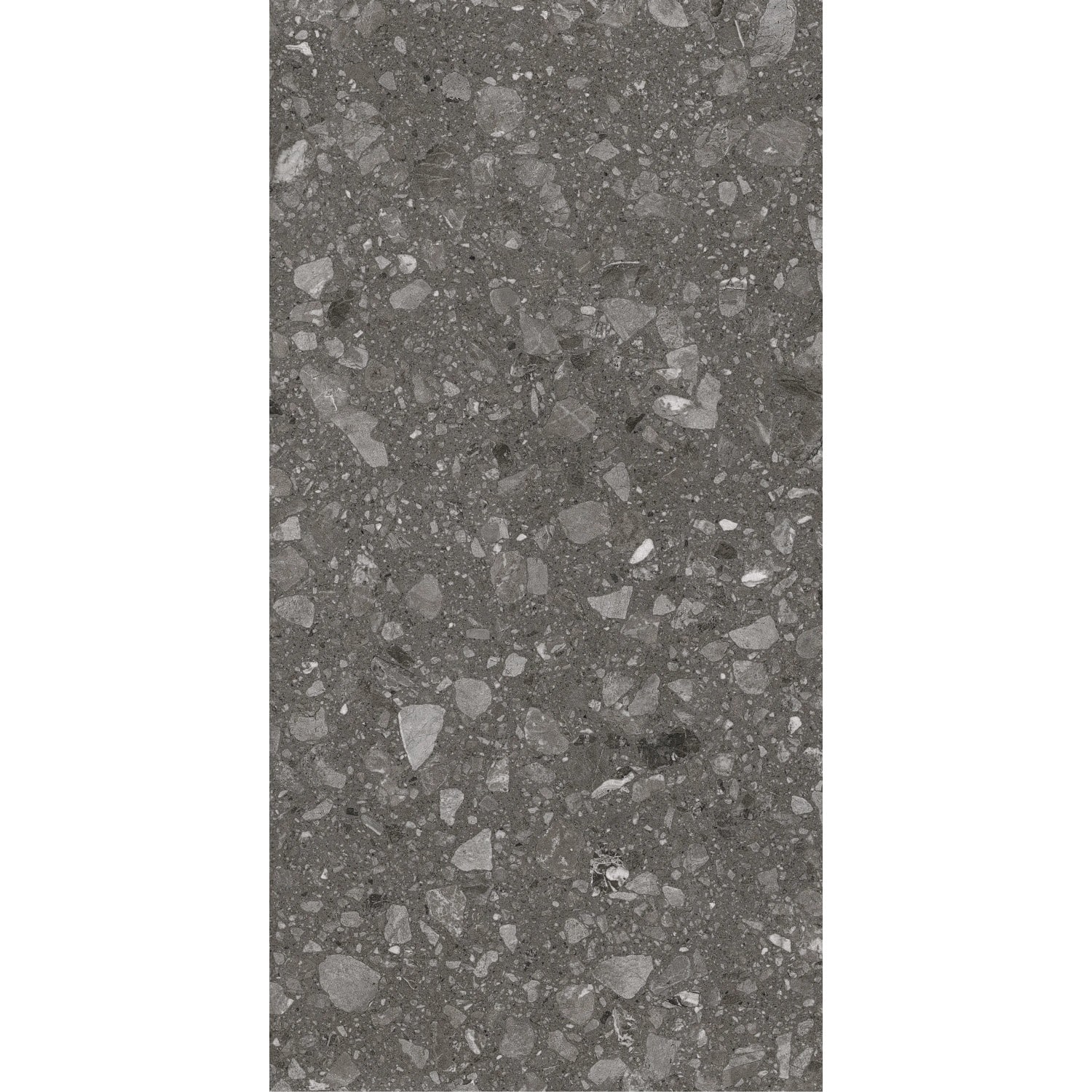 Bodenfliese Feinsteinzeug Terra antra Anthrazit Glasiert Matt 60 cm x 120 cm