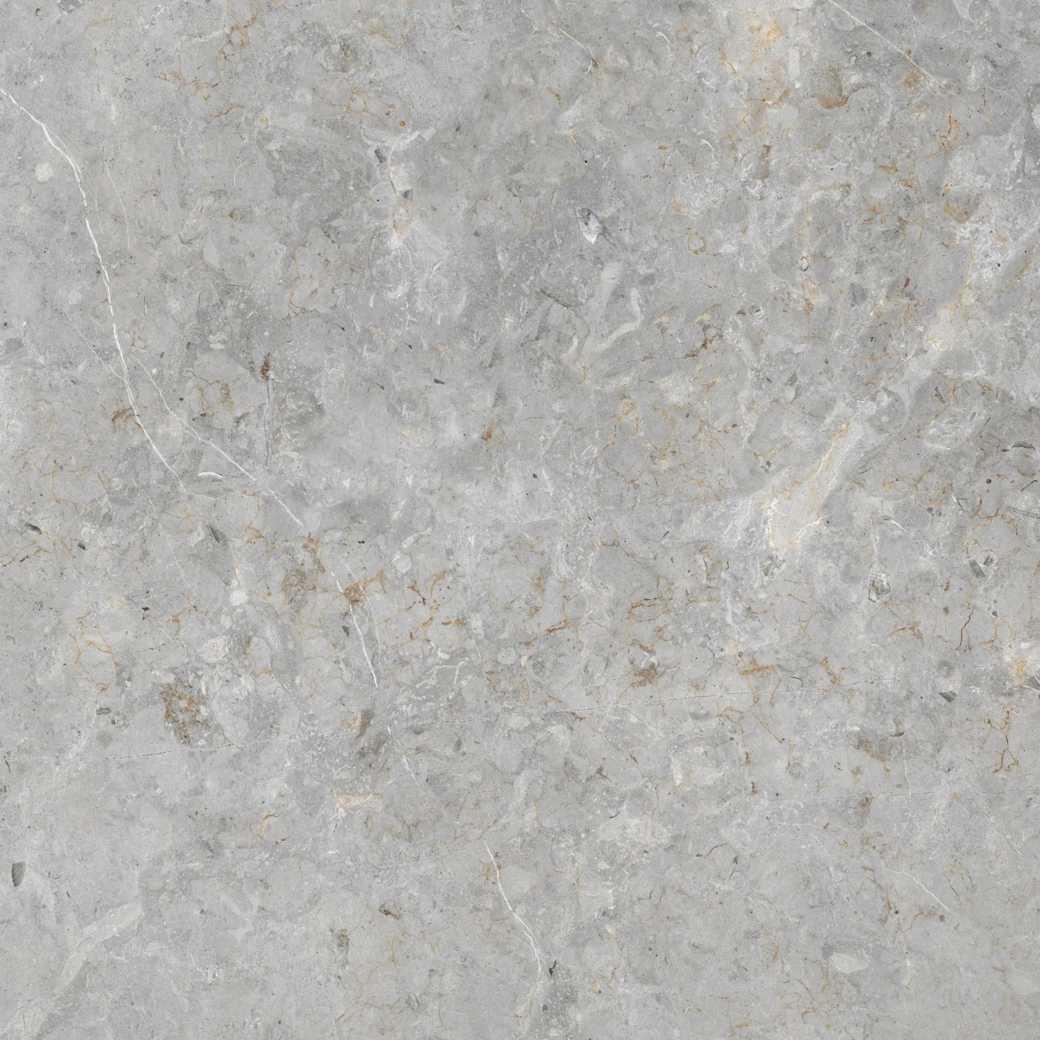 Bodenfliese Feinsteinzeug Travertino grau Grau Glasiert Poliert 80 cm x 80 cm