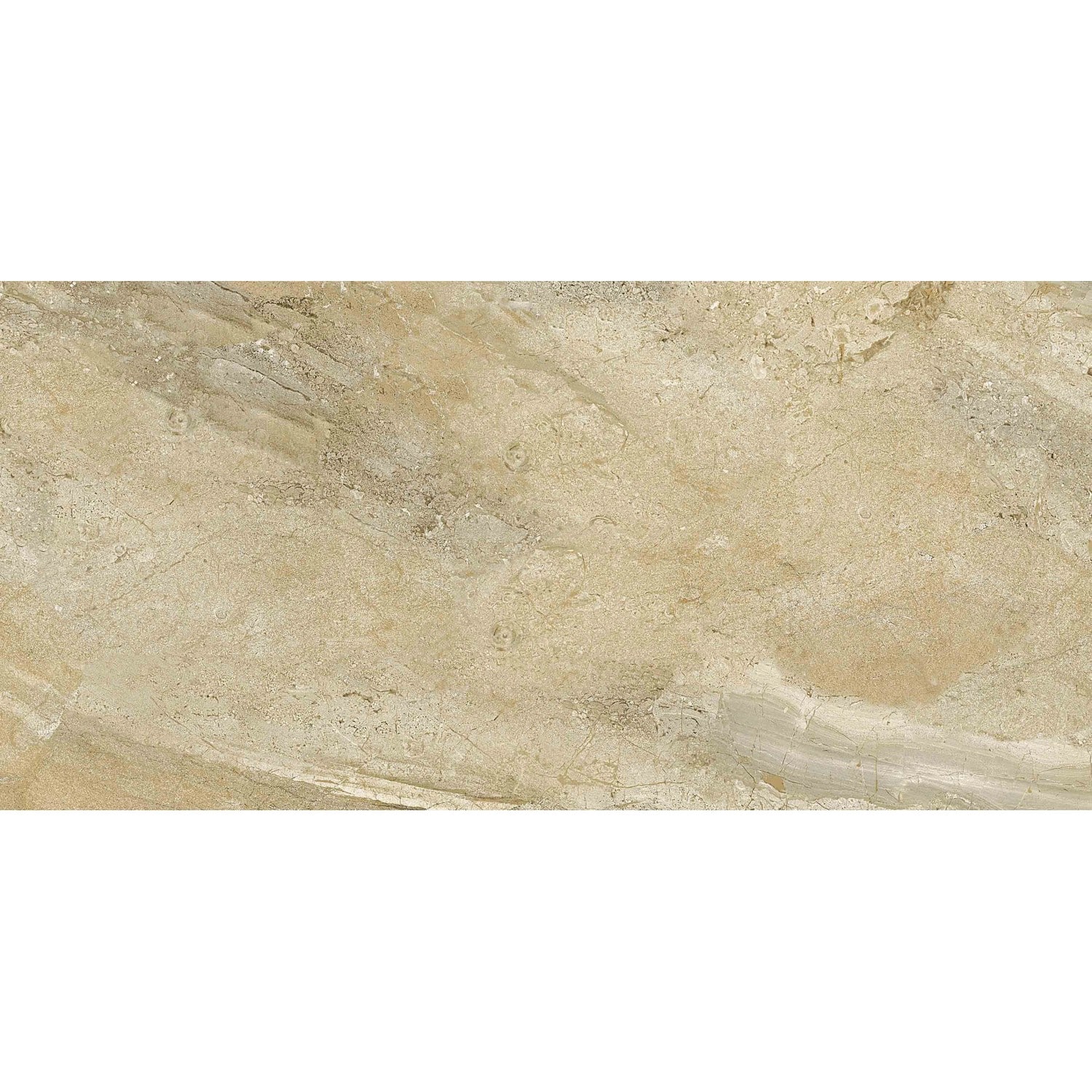 Bodenfliese Feinsteinzeug Vero braun Braun Glasiert Poliert 60 cm x 30 cm