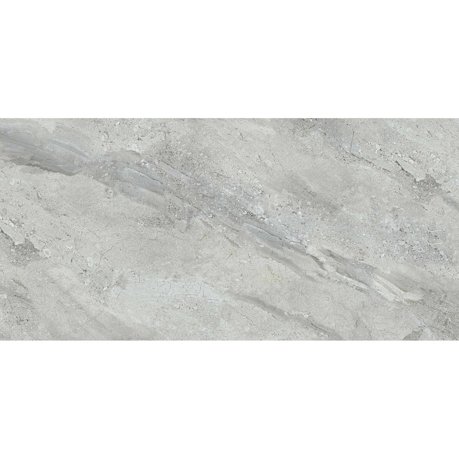 Bodenfliese Feinsteinzeug Vero grau Grau Glasiert Poliert 60 cm x 30 cm