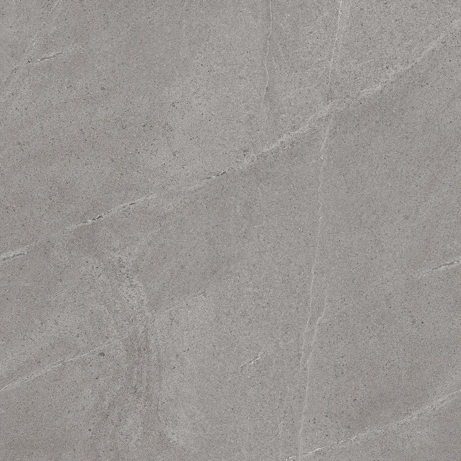 Class Tile Bodenfliese Burlington Feinsteinzeug Grey 60 cm x 60 cm
