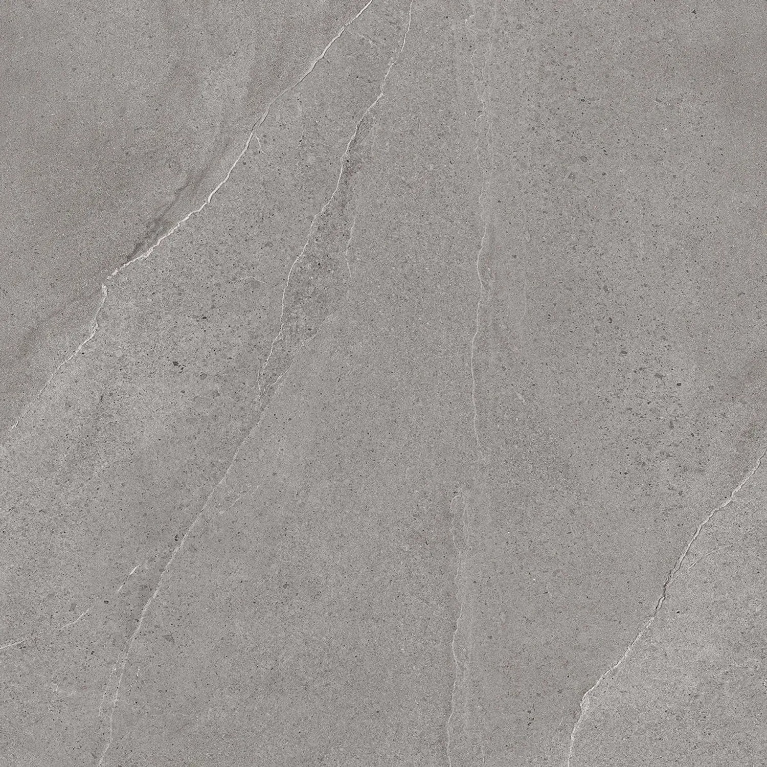 Class Tile Bodenfliese Burlington Feinsteinzeug Grey 80 cm x 80 cm