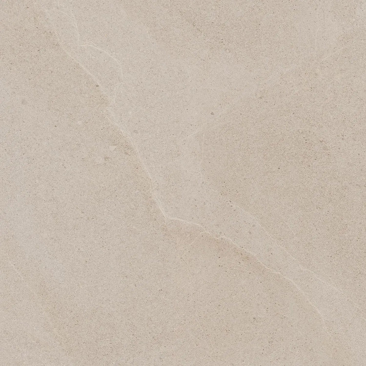 Class Tile Bodenfliese Burlington Feinsteinzeug Sand 60 cm x 60 cm